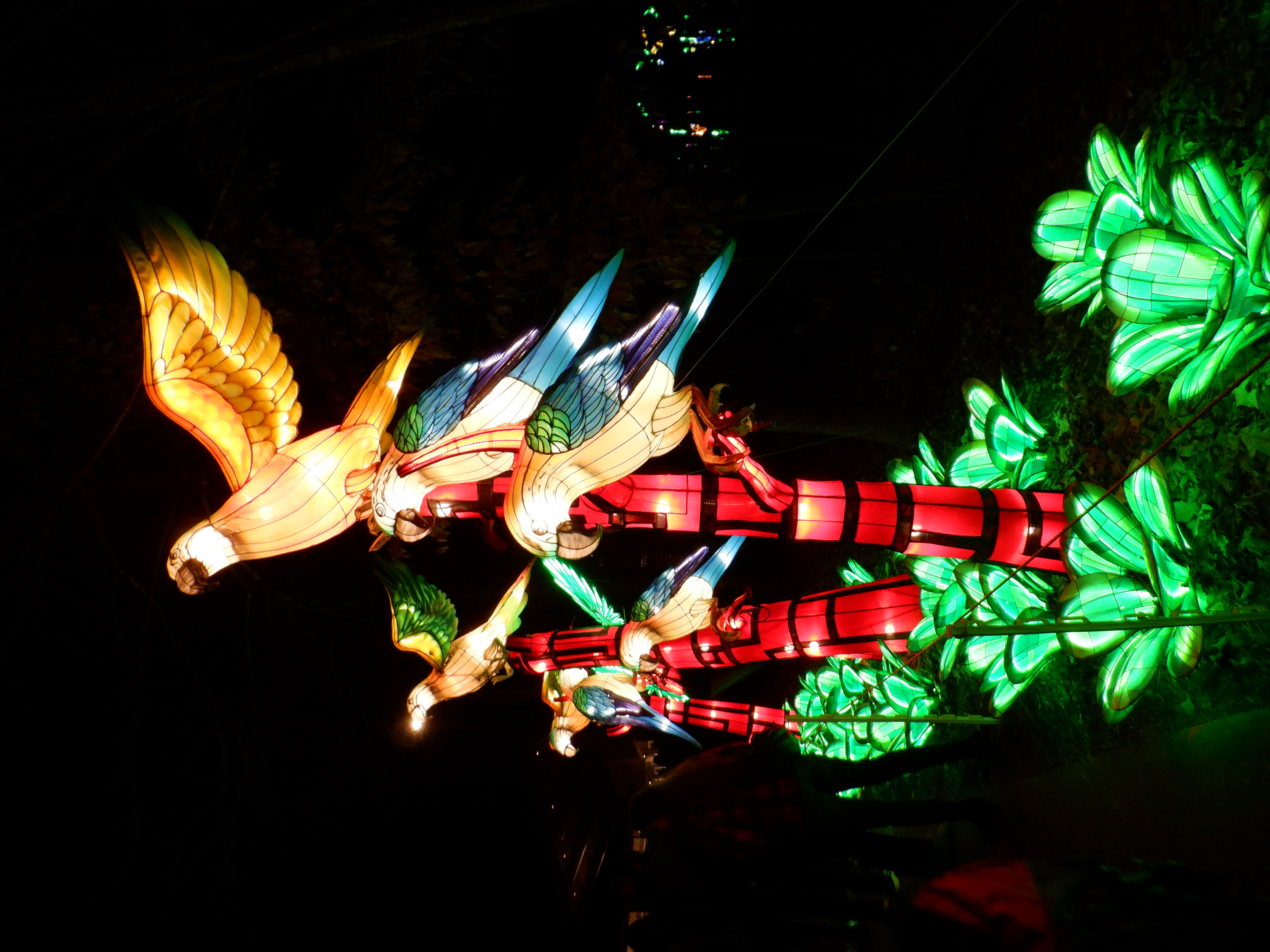 ./2019/16 - Chinese Lantern Festival/DSCF0706.JPG